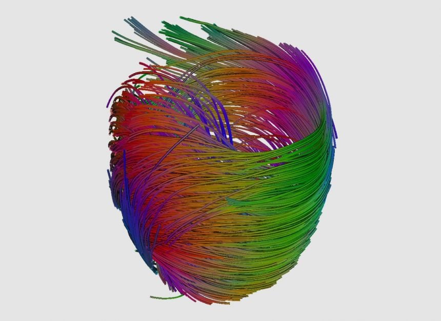 Valentine's Blog see your heart strings University of Oxford